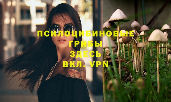 сатива Алексеевка